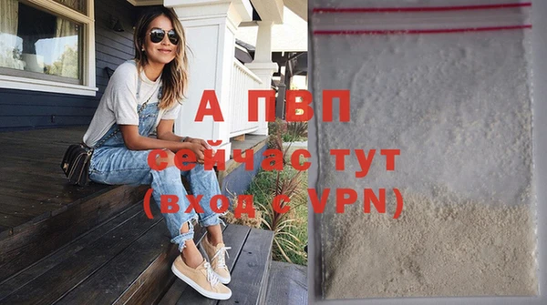 твердый Лагань