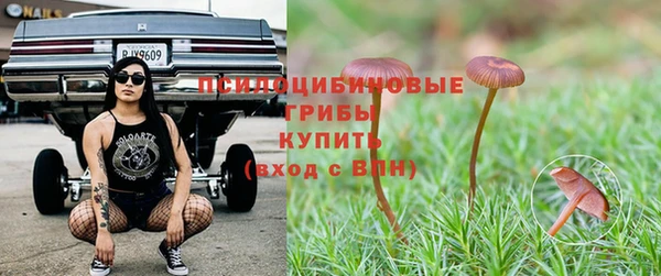 твердый Лагань