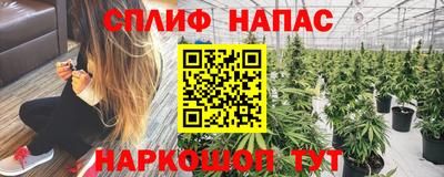 дмт Гагарин