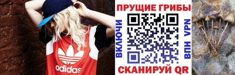 МЕГА как зайти  Дедовск  Псилоцибиновые грибы Psilocybe 