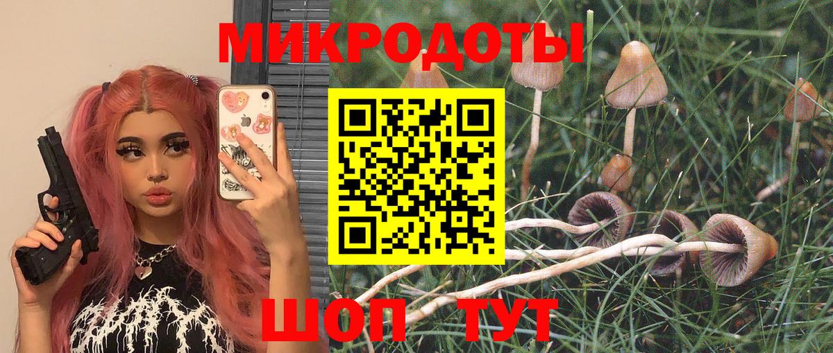 Дедовск  Галлюциногенные грибы Psilocybe  Вход с VPN 