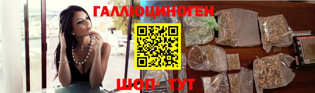 Псилоцибиновые грибы Cubensis  Дедовск  Галлюциногенные грибы MAGIC MUSHROOMS 